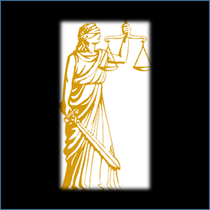 analysis for confirmation bias, development of crime theory filtering facts, information, evidence to conform to investigator's theory of crime, failure/lack of due diligence...Holland Felony Analysis advocate for truth

